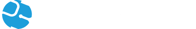 Brain Station Logo